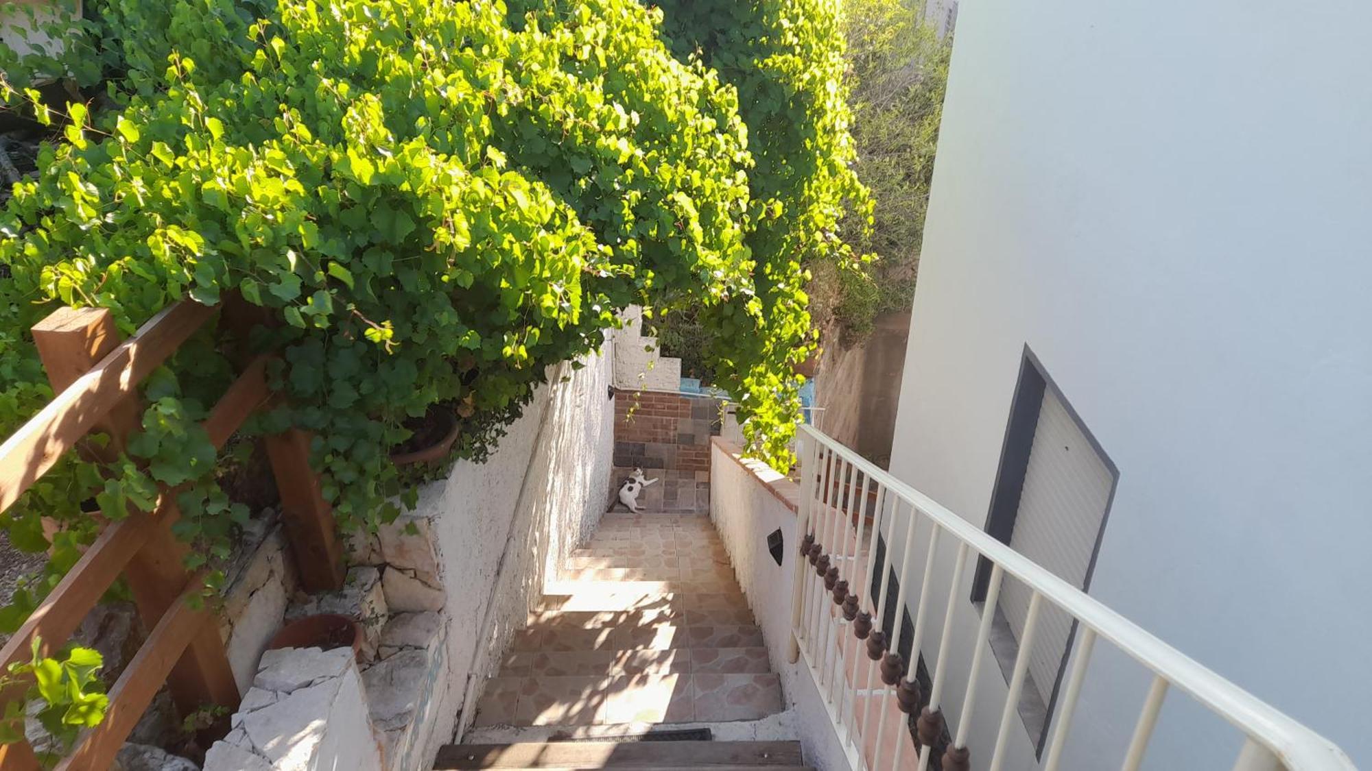 B&B Bella Vista Dorgali Buitenkant foto